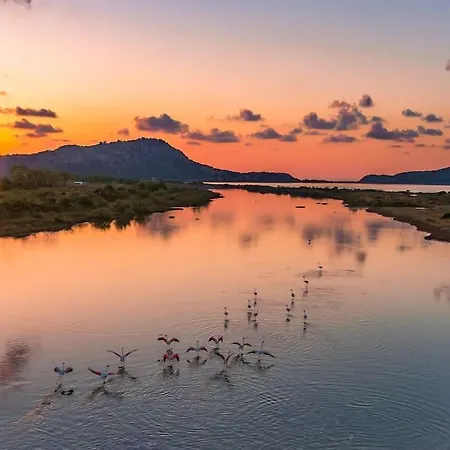 Ginas 1 Kyparissia